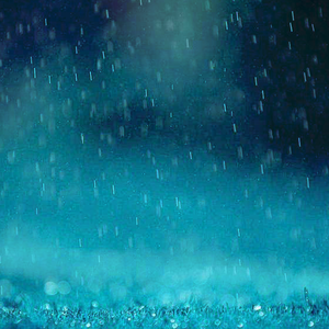 欧美人禽Z0Z0强交3D
